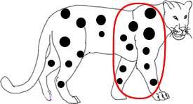leaopard1a