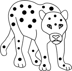 leopard4